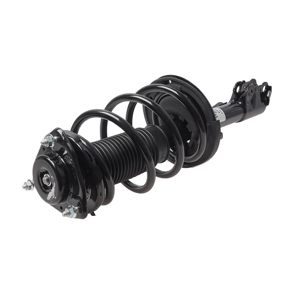 Complete Strut V173092