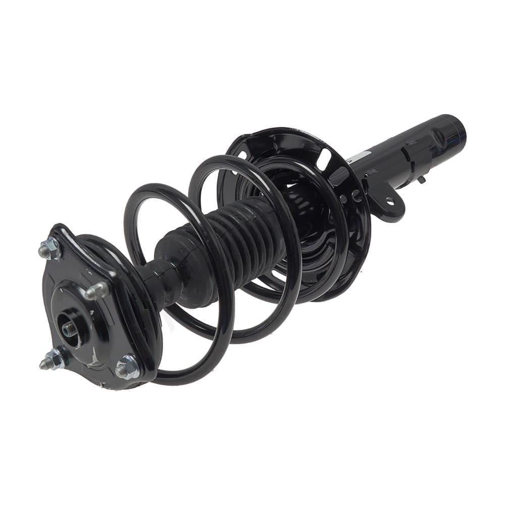 Complete Strut V173153