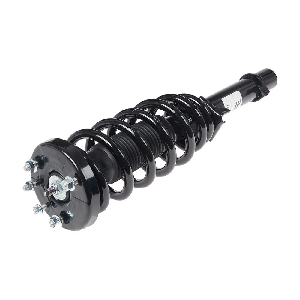 Complete Strut V272693