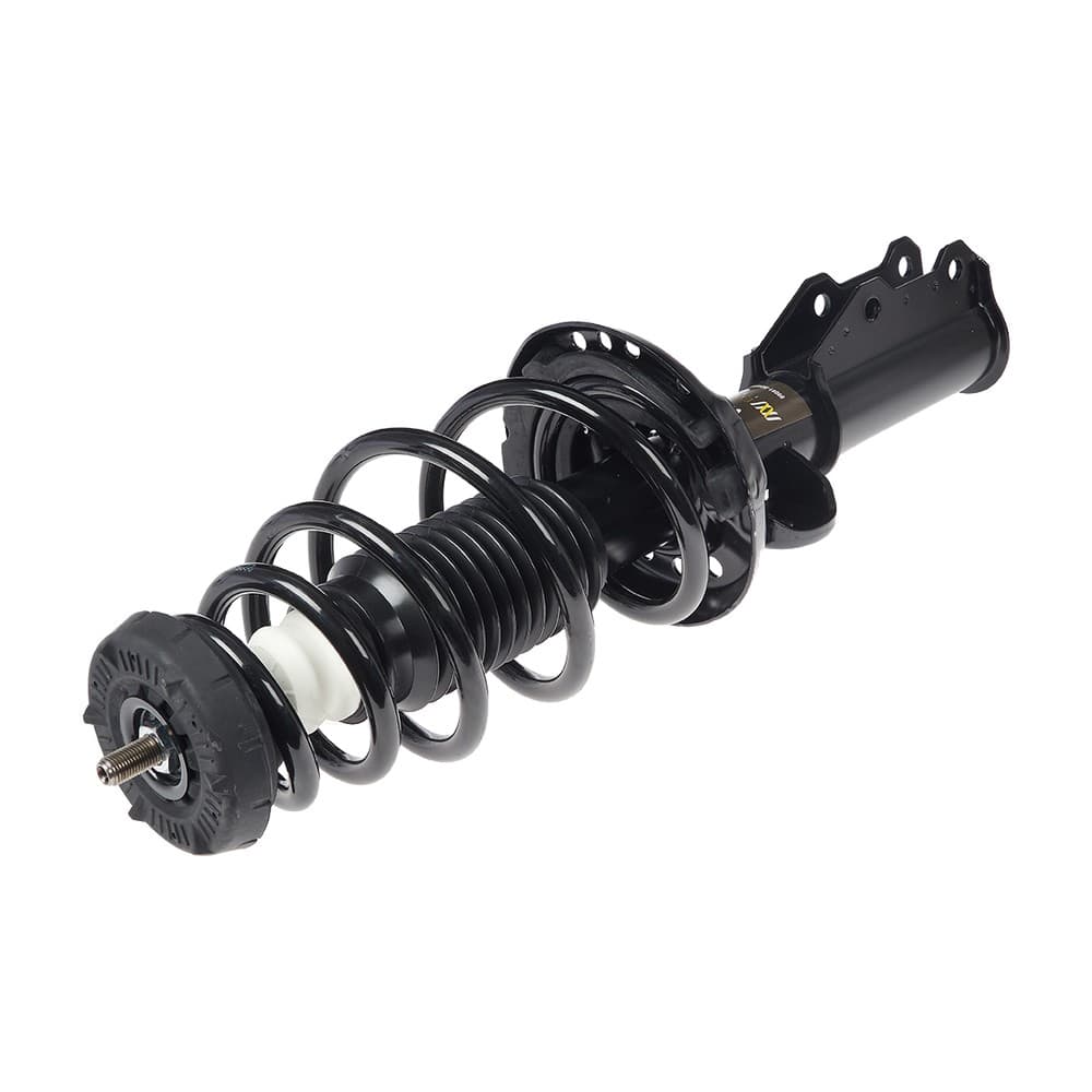 Complete Strut V372663