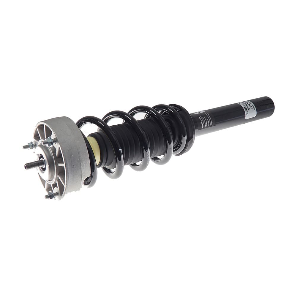 Complete Strut VBMW001