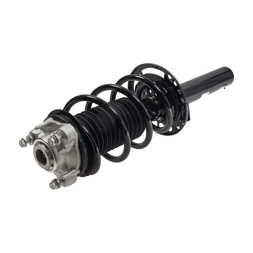 Complete Strut VBMW009R