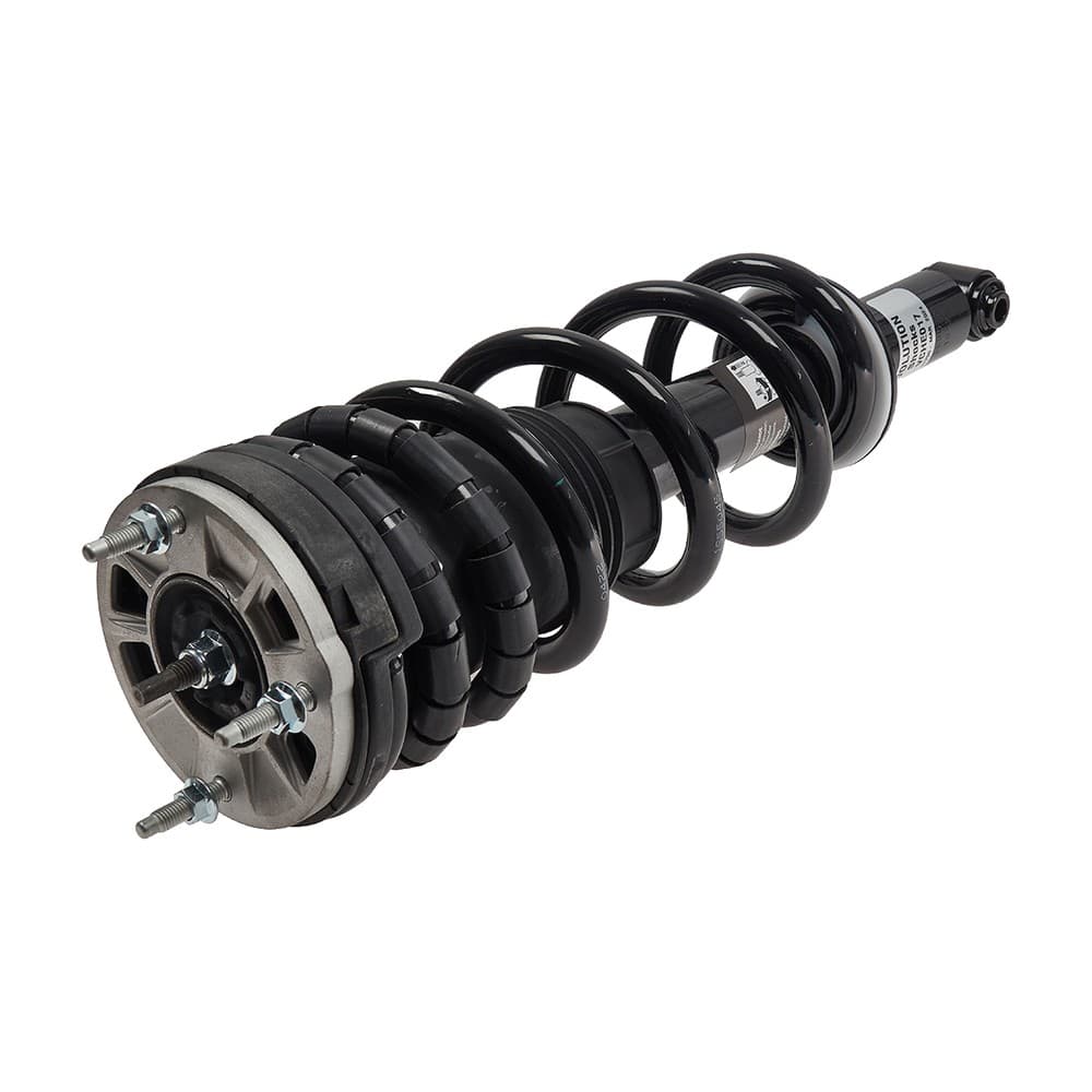 Complete Strut VCHE017