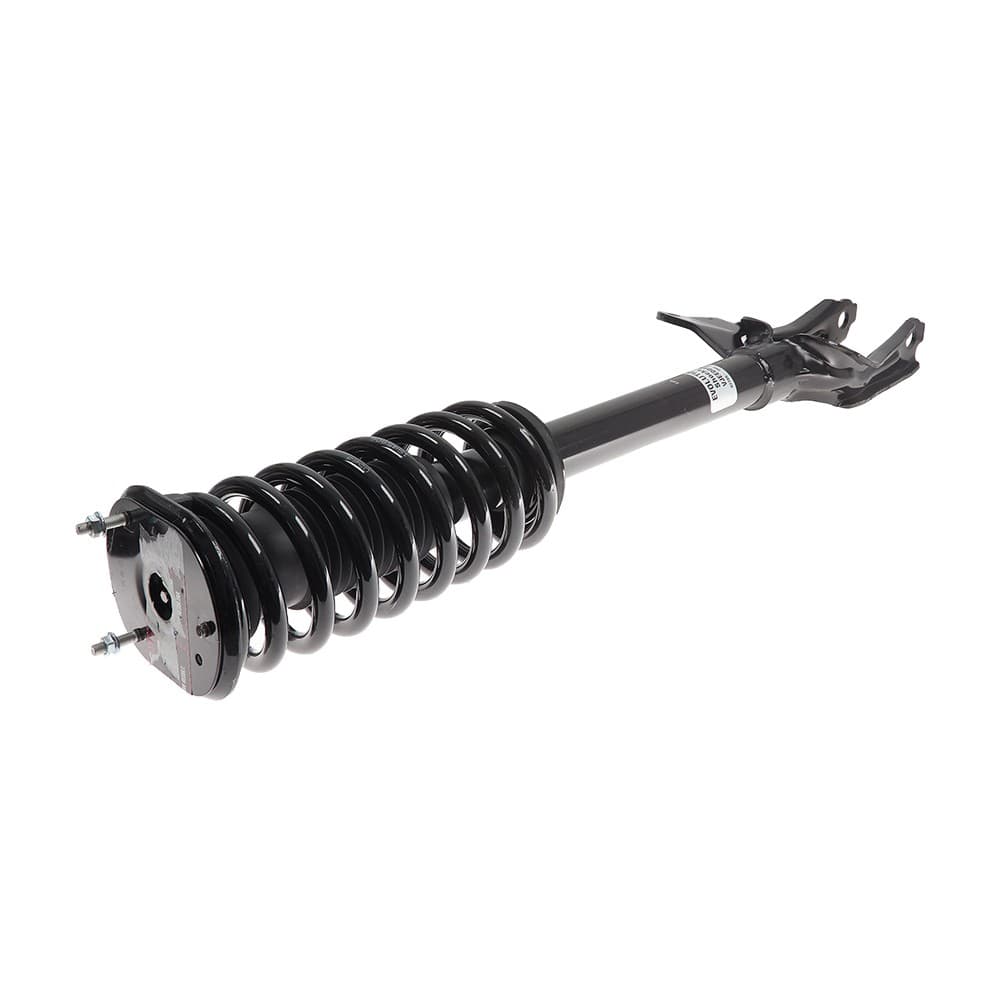 Complete Strut VJEE004R