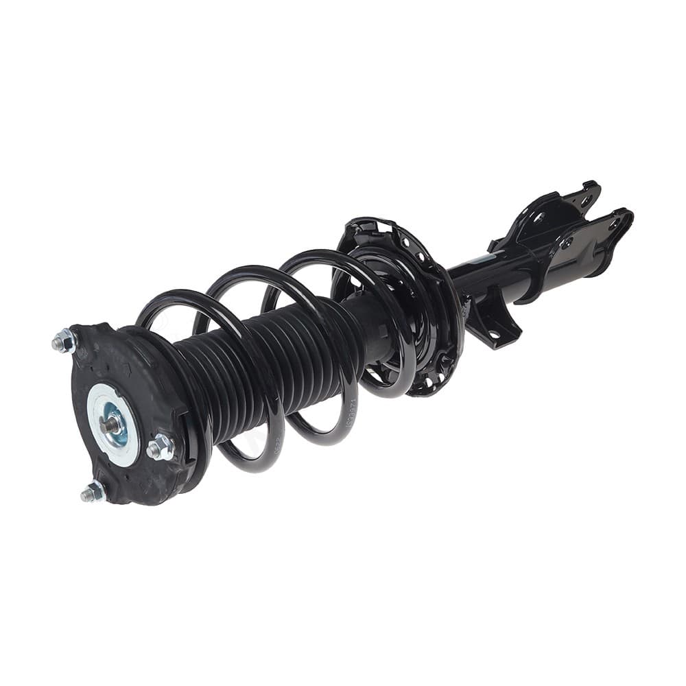 Complete Strut VKIA004L