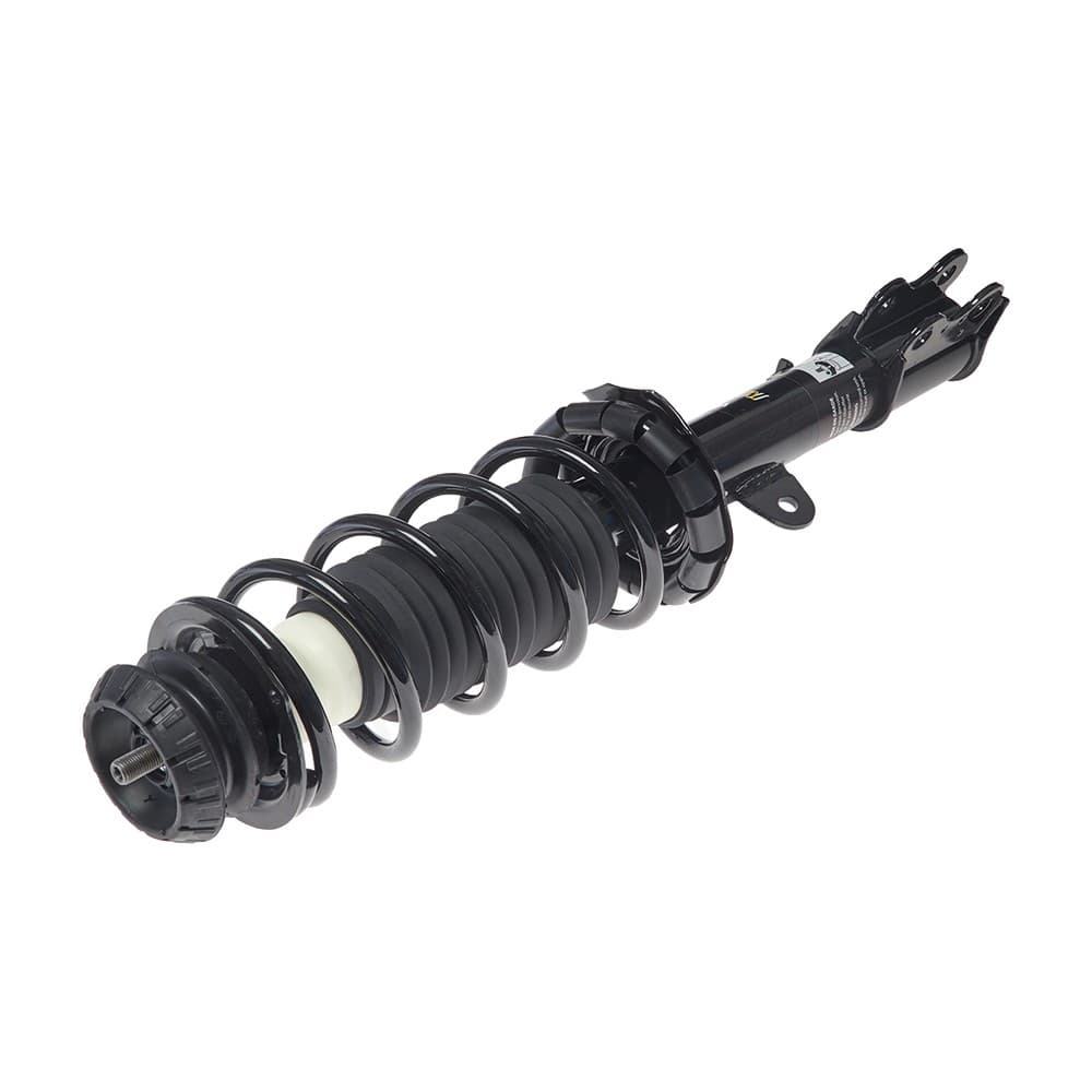 Complete Strut VNIS005R
